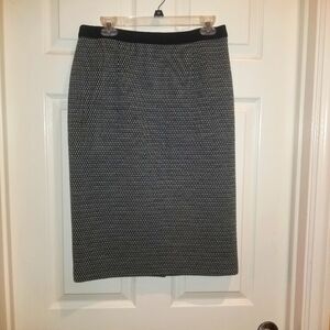 Classiques Enrier Skirt
